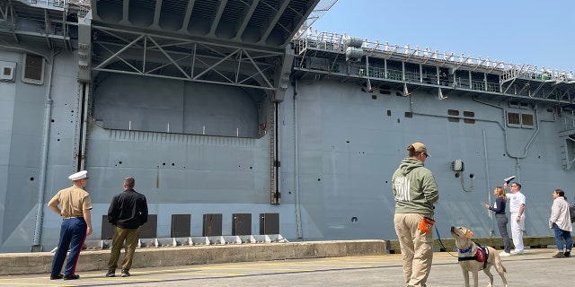 uss wasp dog ike pier 88