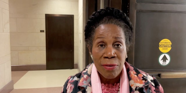 Sheila Jackson Lee discusses fentanyl crisis