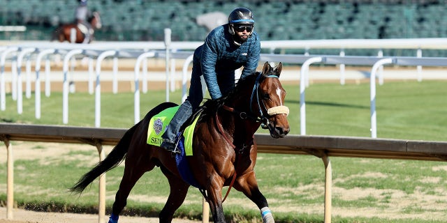 Horse runs during training at Churchill Downs