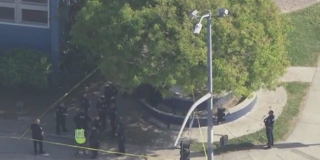 Los Angeles school stabbing