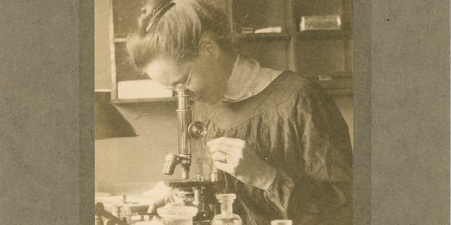 Meet The American Who Unlocked The Science Of Gender, Nettie Stevens ...