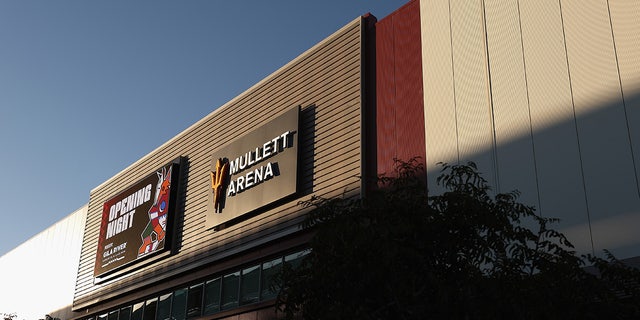 General view of Mullett Arena