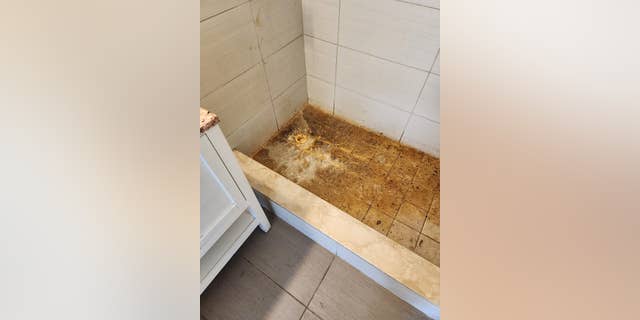 Photo of dirty shower