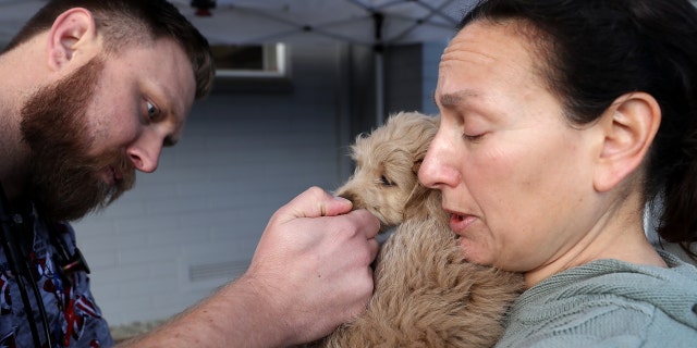 Veterinarian technician Justin Jones (L) gives a dog named Sadie a canine influenza immunization