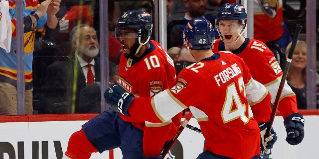 Anthony Duclair celebrates goal