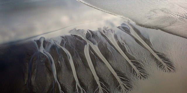 A group of surfers ride the Bore Tide at Turnagain Arm