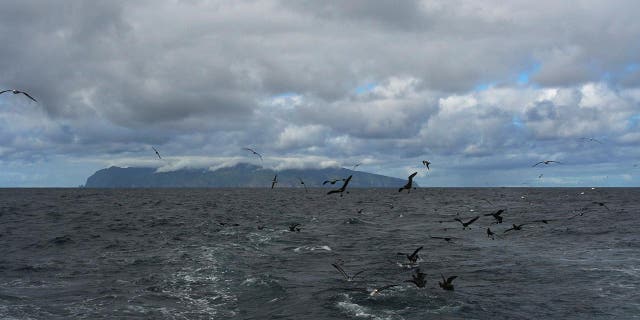 Gough Island in background seen from water