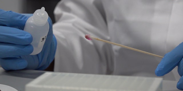 A doctor holding a swab