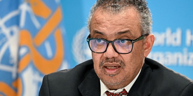 World Health Organization (WHO) chief Tedros Adhanom Ghebreyesus speaks