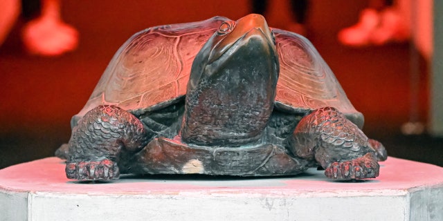 Testudo mascot statue University of Maryland