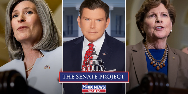 the legislature project