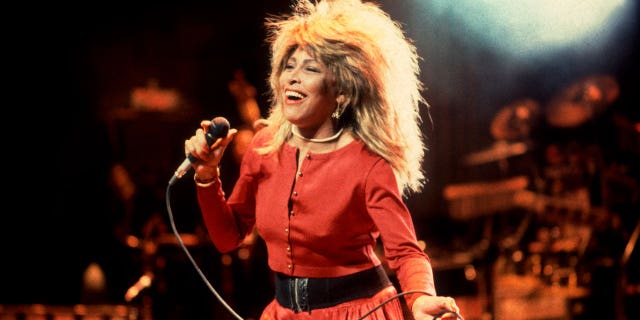 Tina Turner on stage