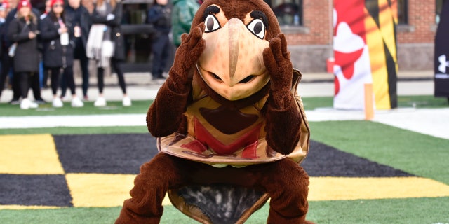Testudo mascot dancing