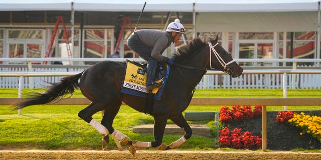 First Mission during a training session ahead Preakness
