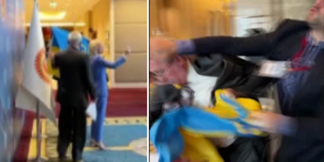 Ukrainian delegate punches Russian delegate