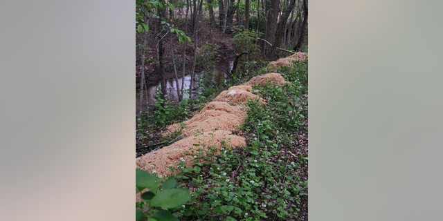 Pasta mounds along river