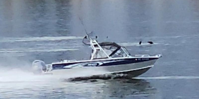 NOAA boat sharing