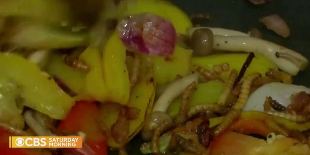 A "CBS Saturday Morning" segment on eating bugs