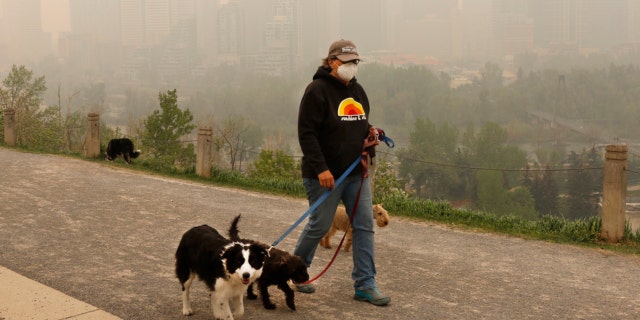 A dog walker in Canadian wildfire smoke