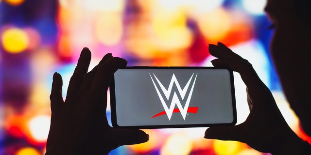 WWE photo illustration