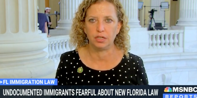 Wasserman Schultz on MSNBC