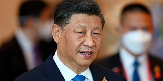 China's President Xi Jinping