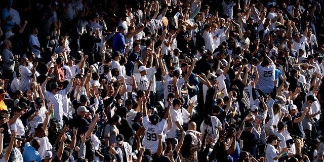 Yankees fans in stands