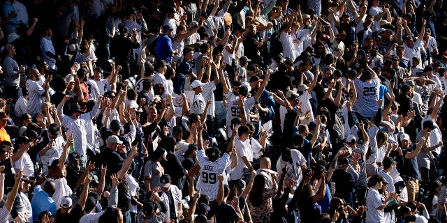 Yankees fans in stands