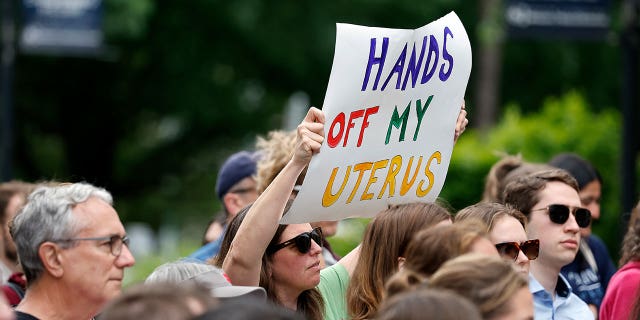 abortion rally sign