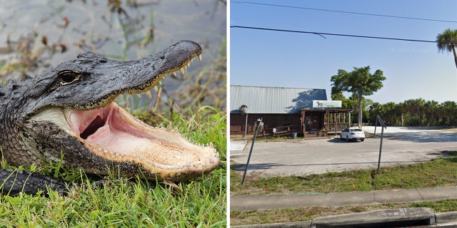 Florida man who lost arm in alligator attack behind a bar now in 'fair' condition, hospital confirms 5 alligator/banditos split