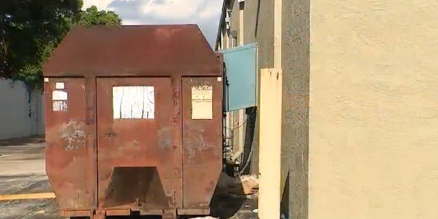 Dumpster outside shopping plaza