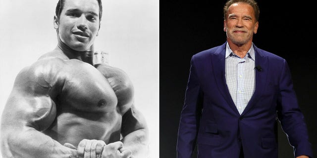 A split image featuring a photo of Arnold Schwarzenegger in his body-building days and a current photo of him.