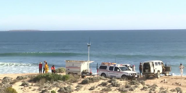 rescue vehicles on beach