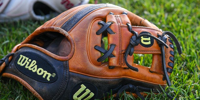 a baseball glove