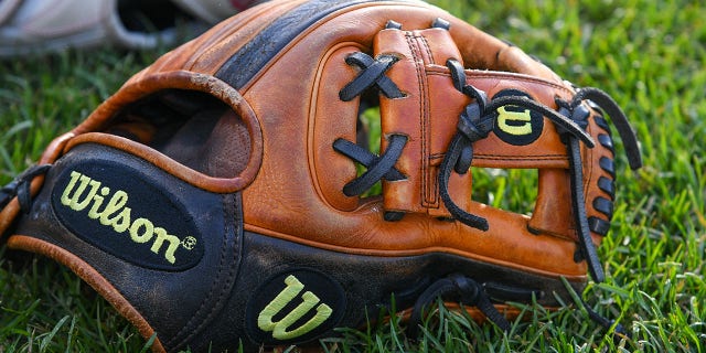 A baseball glove