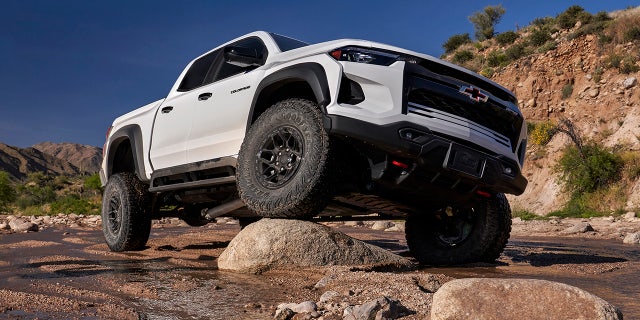 bison flex