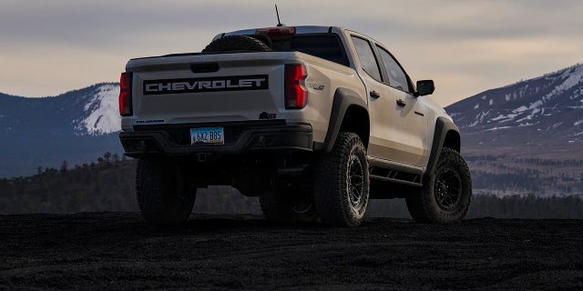 bison rear