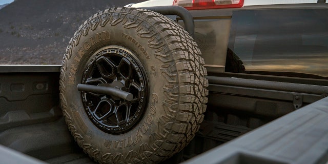 bison spare