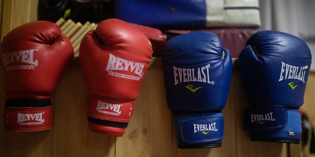 Boxing gloves