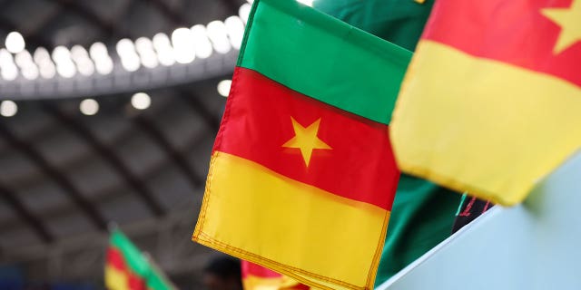 Cameroonian flag