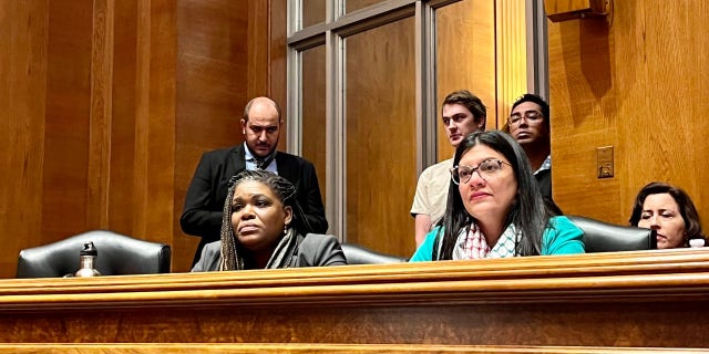 Cori Bush sits next to Rashida Tlaib in Senate hearing room