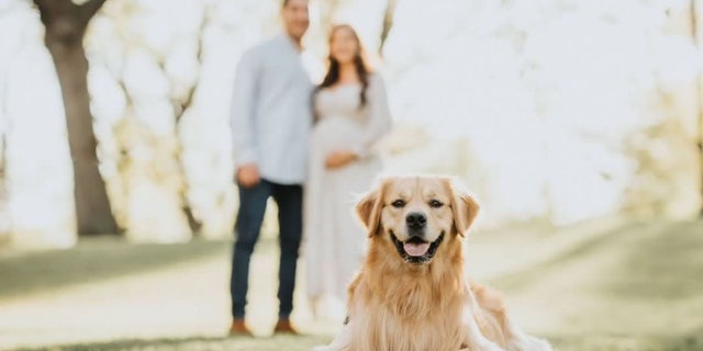 New Jersey couple let dog name baby