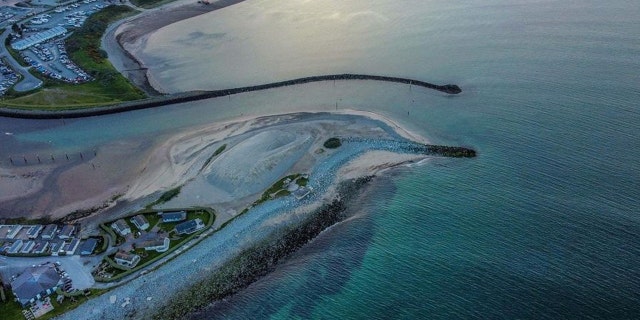 dolphin seen from drone photo