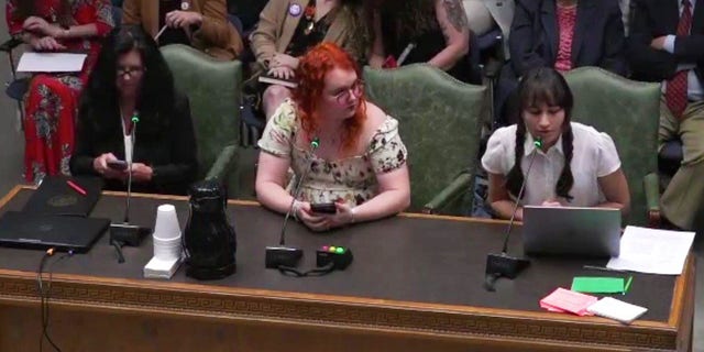 Louisiana testimony, ex-trans activists