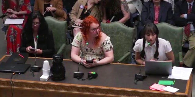 Louisiana testimony, ex-trans activists