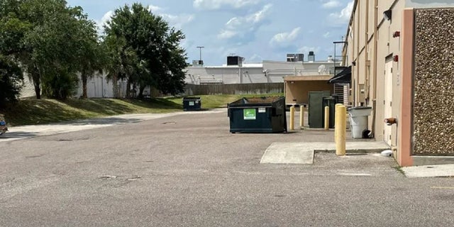 Florida child discovered lifeless in dumpster was baby of lady illegally in US
