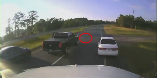 pickup truck stopped for turtle