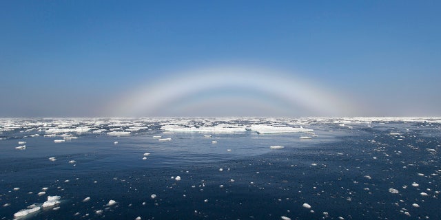 fogbow