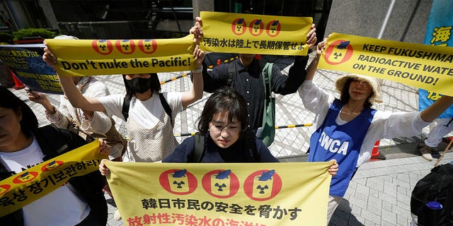 Protest in Japan