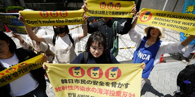 Protest in Japan